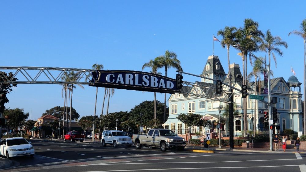 How to Choose the Right Pest Control Company in Carlsbad, CA