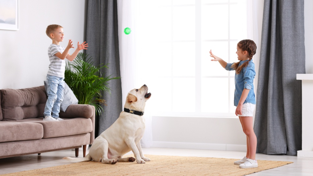 Are Pest Control Treatments Safe for Kids and Pets in Encinitas?