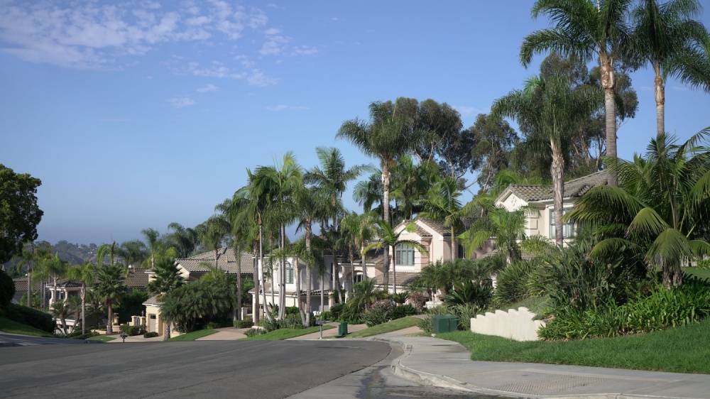 Do I Need Pest Control If I Do Not See Bugs in My Carlsbad Home?