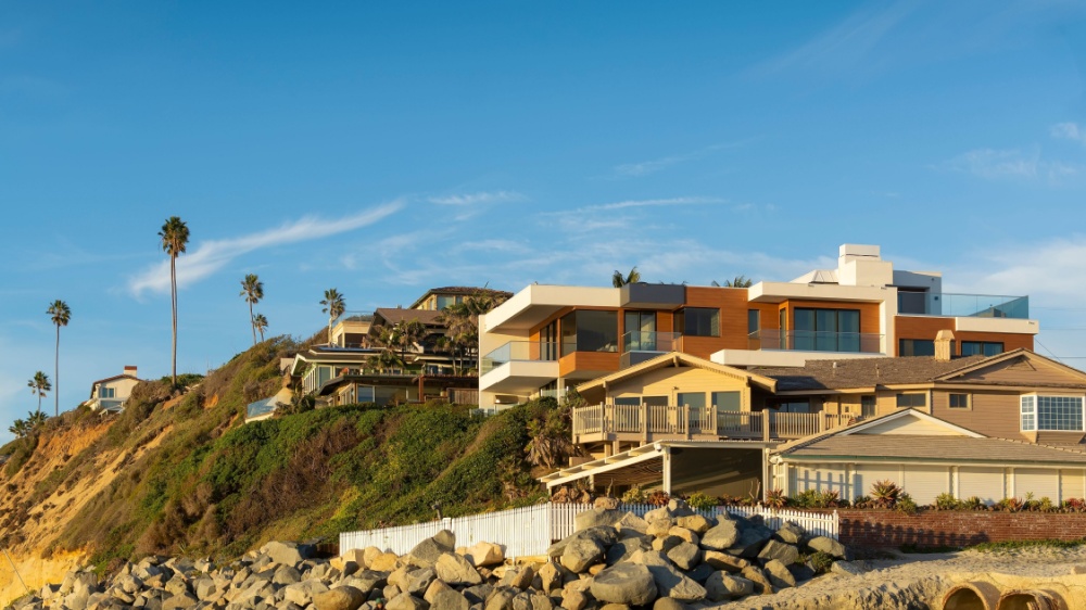 Is Year-Round Pest Control Worth It in Encinitas?