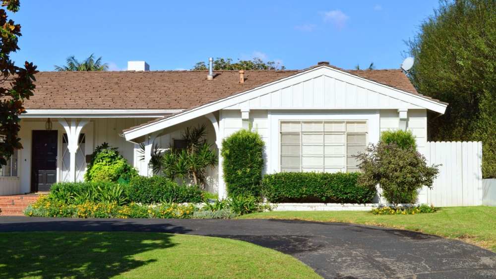 Do I Really Need Pest Control in Encinitas, CA—or Can I Handle It Myself?