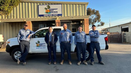 Pest Techs